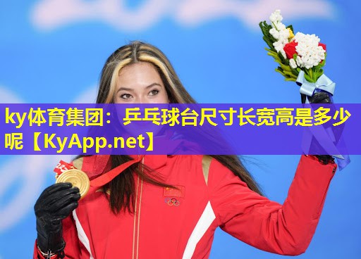 乒乓球台尺寸长宽高是多少呢
