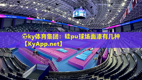 硅pu球场面漆有几种