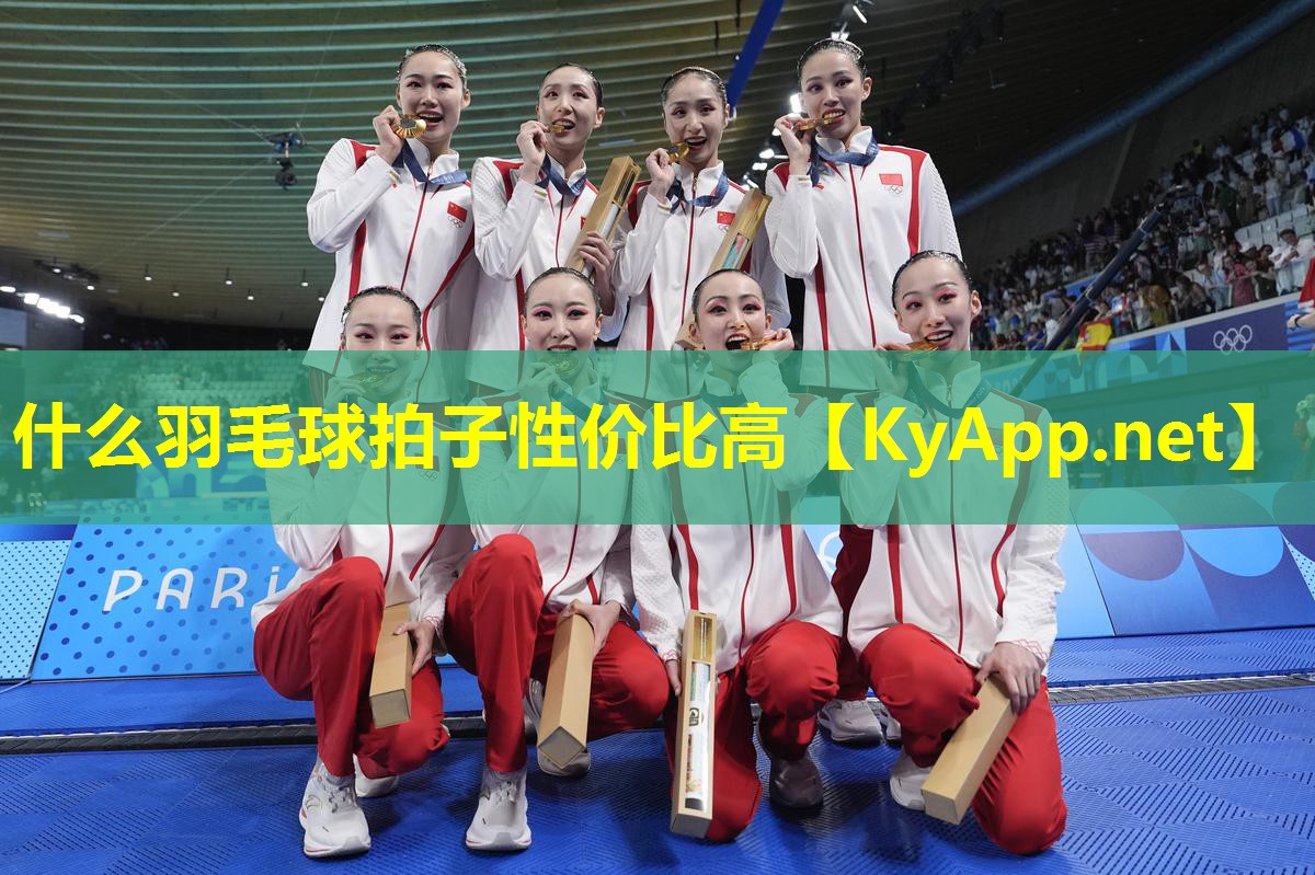 什么羽毛球拍子性价比高